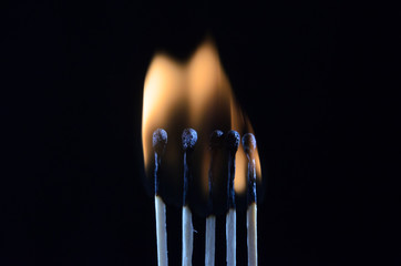 Burning matches isolated on black background