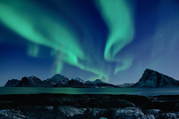 northern lights, aurora borealis shining green in night starry sky at winter lofoten islands, norway
