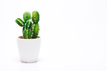 Small Decorative Cactus In Vase Isolated On Neutral Background.