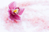 Fototapeta Kwiaty - Spa and wellness setting with orchid and rose sea salt on wooden white background closeup