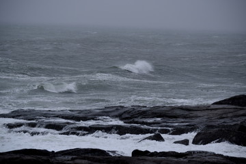 Wall Mural - Maine Ocean Waves in Winter Snow Storm