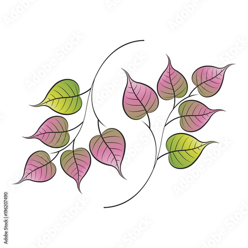 My Image 21