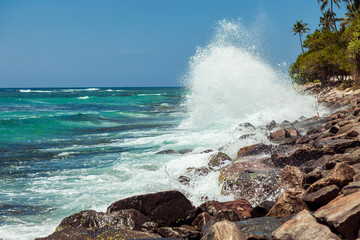 waves crash on rocky shore