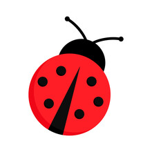 Red Ladybug Clipart Free Stock Photo - Public Domain Pictures