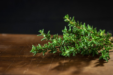 Wall Mural - Fresh organic Thyme