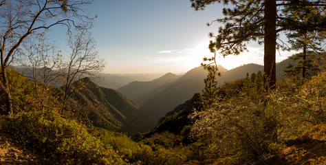 Kings Canyon Sequoia National Park in California