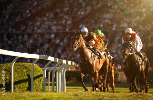 Foto: Two jockeys during horse races on their horses going towards finish line. Traditional European sport. Two jockeys during horse races on their horses going towards finish line. Traditional European sport.