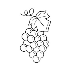 Canvas Print - Bunch of grapes vector line icon isolated on white background