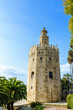 The Torre del Oro of Seville in sunny day.
