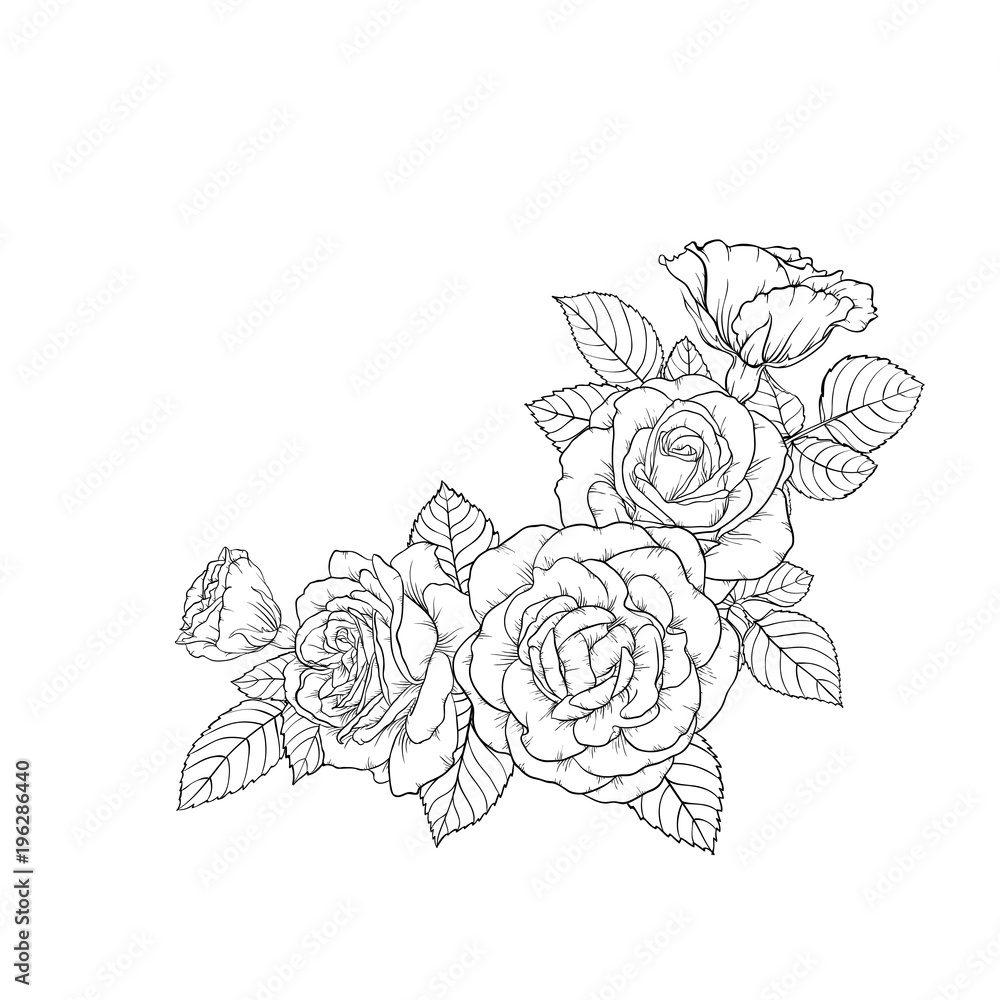 beautiful black and white bouquet rose and leaves. Floral arrangement isolated on background. design greeting card and invitation of the wedding, birthday, Valentine s Day, mother s day, holiday - obrazy, fototapety, plakaty 