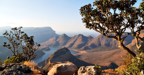in south africa river canyon plant and water