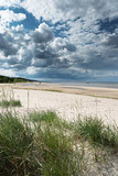 Fototapeta Morze - Sandy beach at gulf of Riga, Baltic sea.