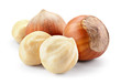 Hazelnut. Fresh organic filbert isolated on white background. Composition. With clipping path. Full depth of field.