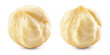 Hazelnut. Fresh organic peeled filbert isolated on white background. Nut macro. Collection. Full depth of field.