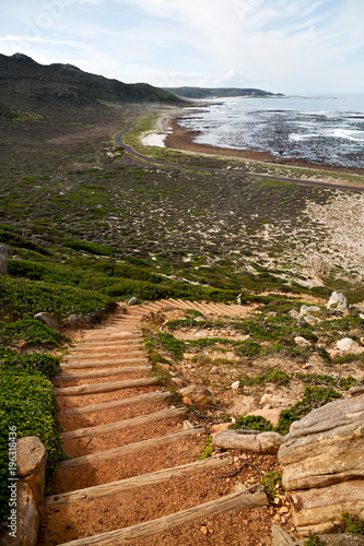 Fotografering in south africa coastline near the cape of good hope