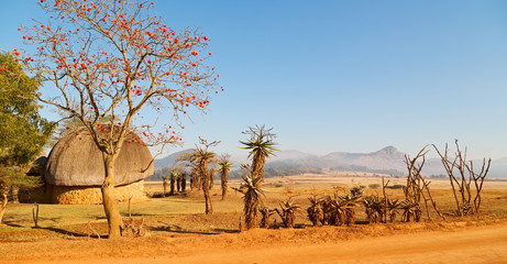 in swaziland wildlife nature reserve