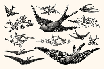 Vintage Bird Vector Line Art - Early 1800s Decorative Illustrations