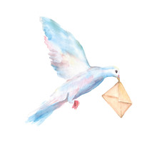 Watercolor Hand Drawn Sketch Illustration Of Dove With An Envelope In Its Beak, Pigeon Mail Isolated On White