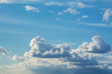 Wall Mural - white curly clouds in a blue sky. sky background