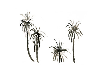 Palmtrees IV