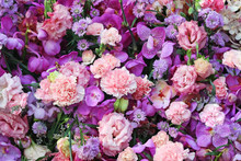 Colorful  Bouquet Of Pink Carnation And Purple Orchids