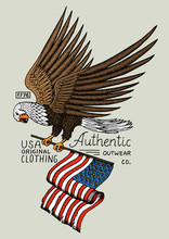 Native Eagle American. Wild Bird. Old Label And Badge. Engraved Hand Drawn In Old Sketch. USA Symbol, Flag Of Patriot.