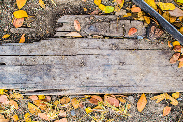 Wooden sign on sand with leaf