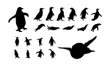 Set Of Various Penguin Silhouette Vector Illustration