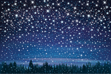 vector night starry sky and forest background.