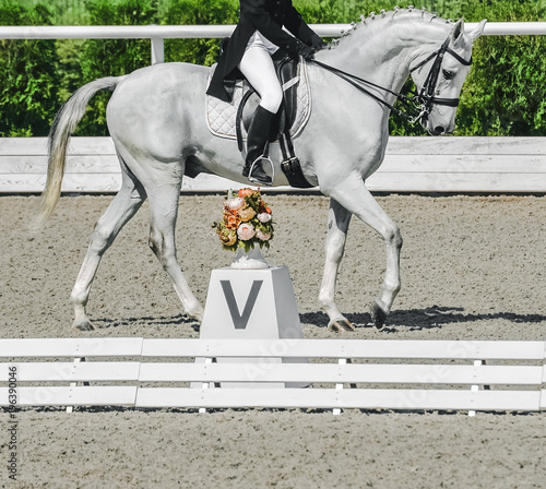 white horse riding boots