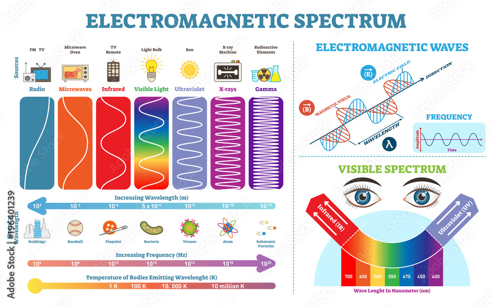 Full Electromagnetic Spectrum Information collection, vector illustration diagram with wave lengths, frequency and temperature. Electromagnetic wave structure scheme. Physics infographic elements. - obrazy, fototapety, plakaty 