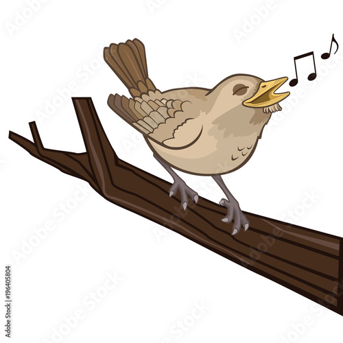 Cute Nightingale Singing On A Branch Vector Cartoon Illustration Isolated On White Buy This Stock Vector And Explore Similar Vectors At Adobe Stock Adobe Stock