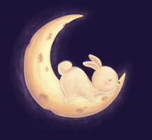 Rabbit Sleep On Moon