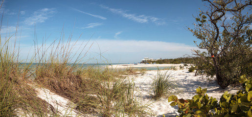 Wall Mural - White sand beach and aqua blue water of Clam Pass in Naples, Florida