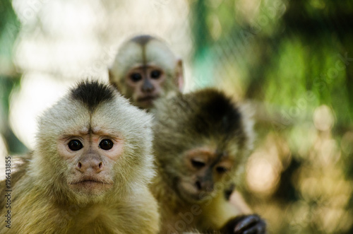 wait time Wallpaper Mural