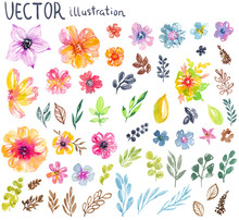 Colorful Floral Collection With Flowers, Leaves And Berries