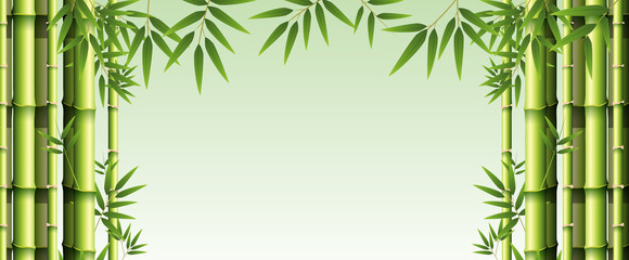 Wall Mural - Background template with green bamboo