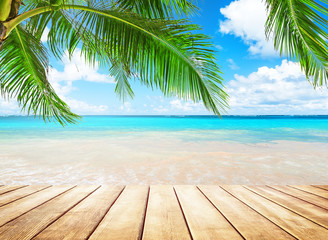 Coconut palm trees and blue sky and sea