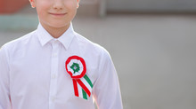 Little Patriot Boy With Hungarian Cockade Closeup, March 15