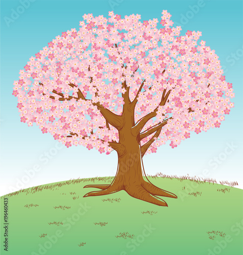 手描き風イラスト 満開の桜の木 ソメイヨシノ 春のイメージのイラスト Stock ベクター Adobe Stock