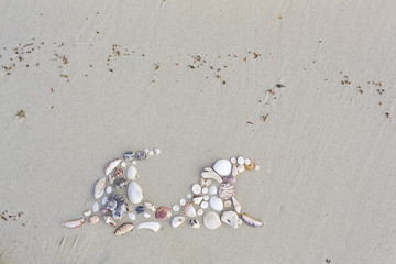 wave formed from shells on a beautiful beach in thailand