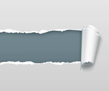 Vector Realistic Torn And Twisted Paper Strip On Light Gray Background