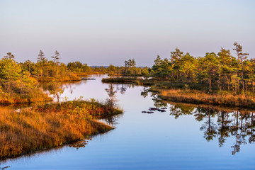 Wall Mural - Great Kemeri bog (Lielais Kemeru tirelis) in sunny autumn day, Latvia