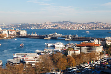 Poster - Cityscape of Historical Center Istanbul Golden Horn