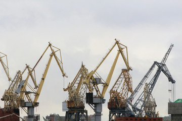 Wall Mural - high freight cranes in port