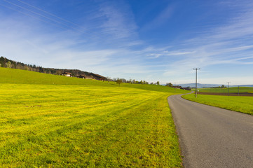 Wall Mural - Asphalt road in Switzerland