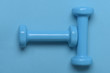 © be free - Fit shape and sport concept. Barbells in small size, topview