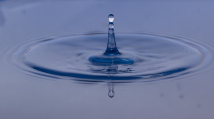 Wall Mural - drop of water liquid with splash isolated. the drop explodes in the water sending spray to the sides and circle ripples around it. the water is blue