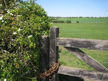A Chained And Pad Locked Wooden Gate In The Countryside Gives The Impression That The Farmer Strongly Wants To Keep Intruders Out Of Their Field