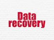 © Maksim Kabakou - Data concept: Painted red text Data Recovery on White Brick wall background